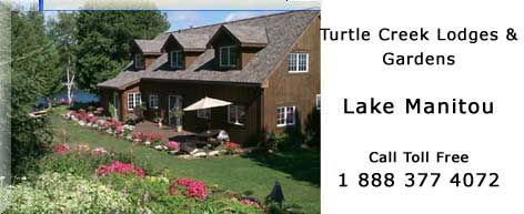 Turtle Creek Banner Ad