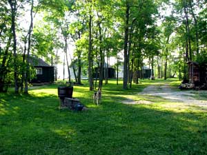 Lake Kagawong Family Cabins - Cabins & Grounds