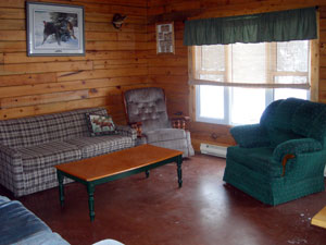 Log Cabin - interior