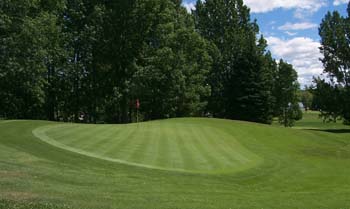 Brookwood Brae Golf Course - Green 4