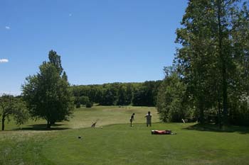 Brookwood Brae Golf Course - Green 8