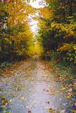 Lake Kagawong Family Cabins - Manitoulin Island